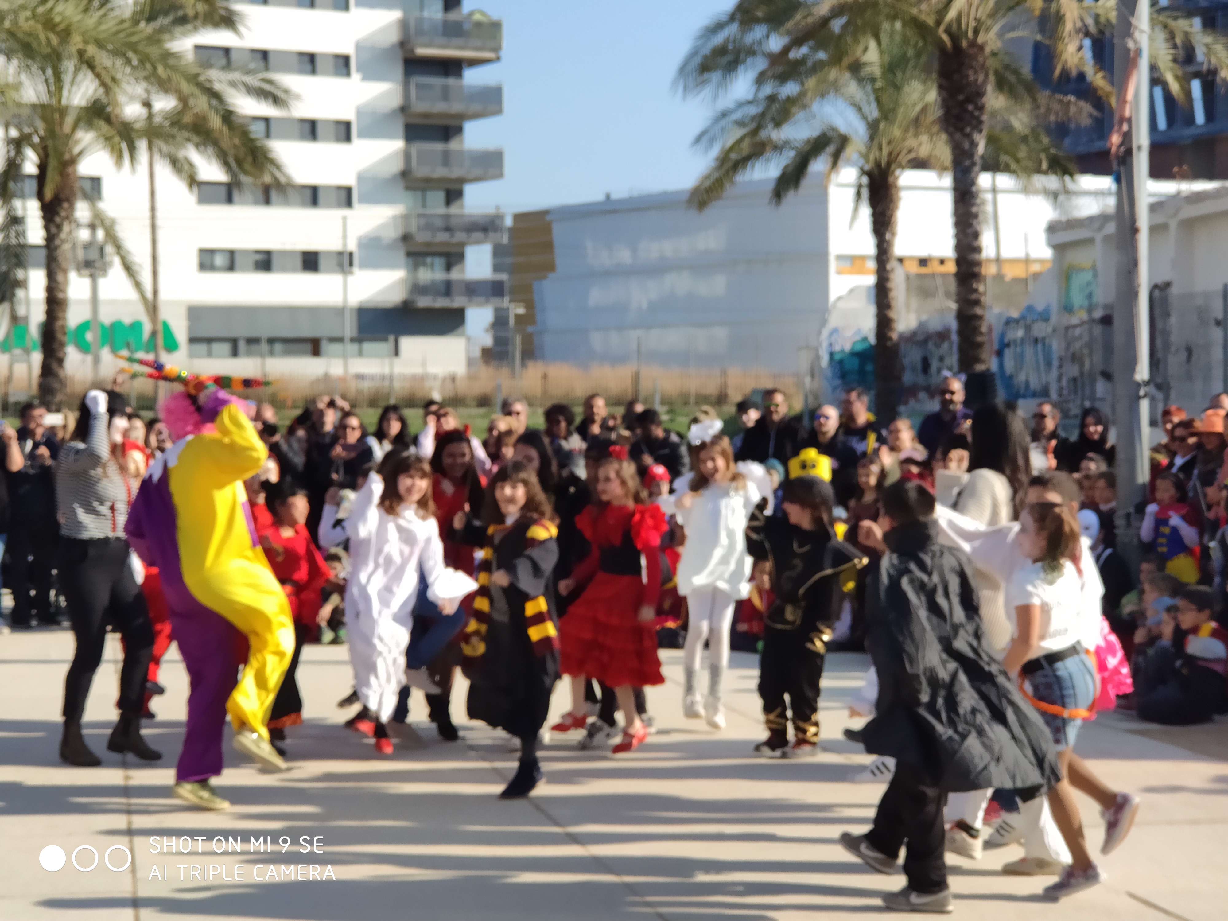 IMG_20200221_155055_compress69