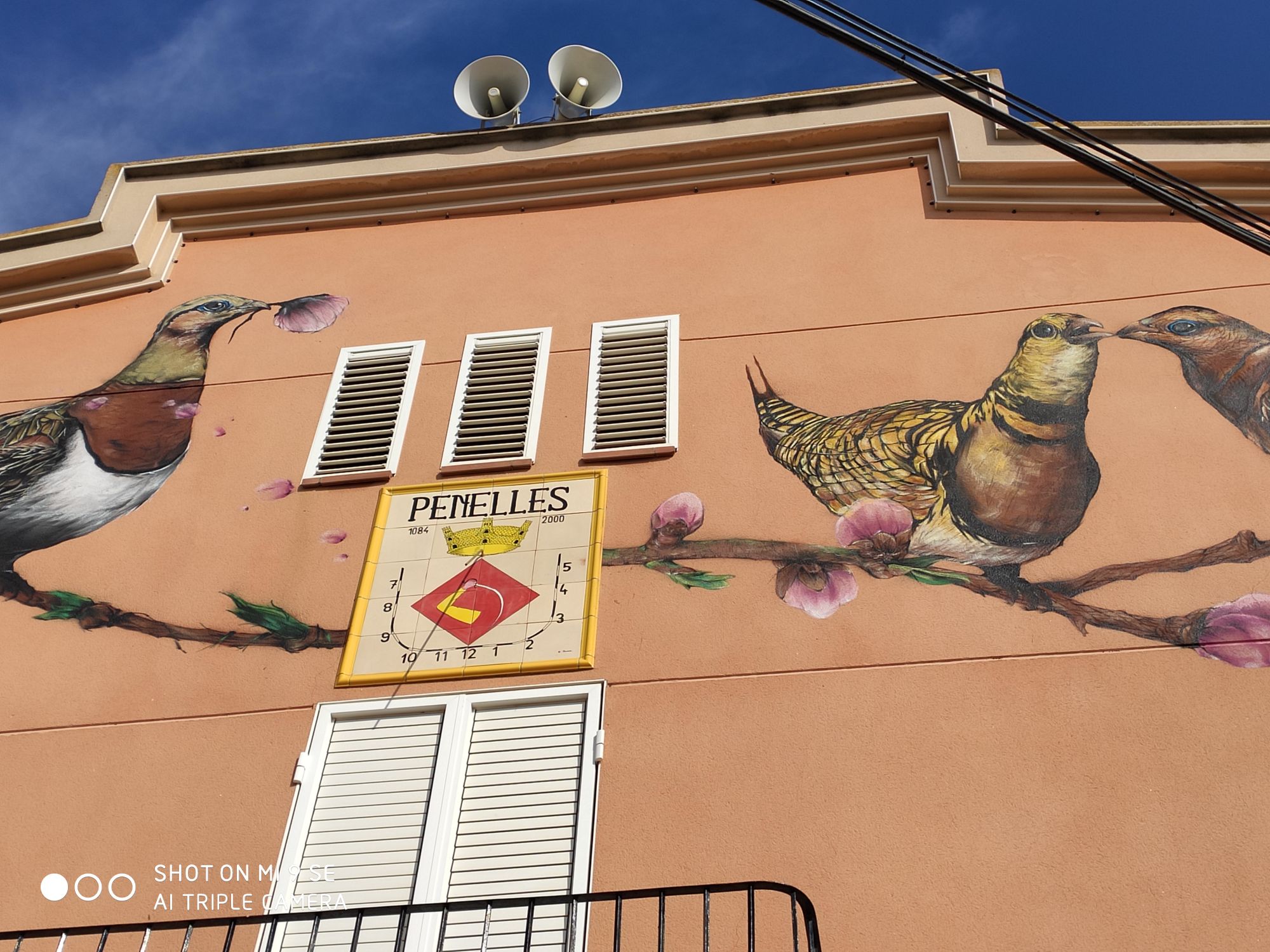 IMG_20200228_111135_compress25