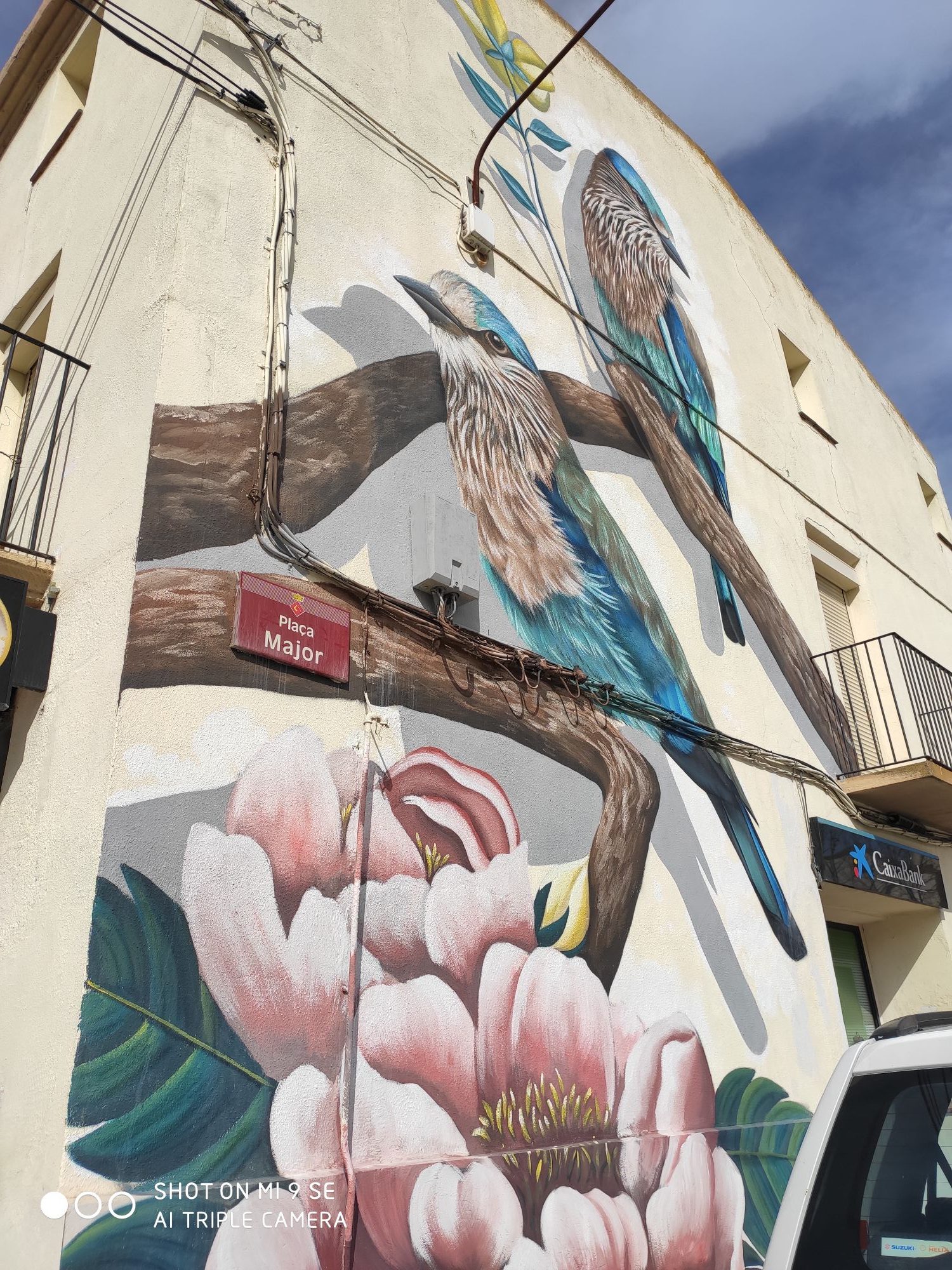 IMG_20200228_113428_compress27