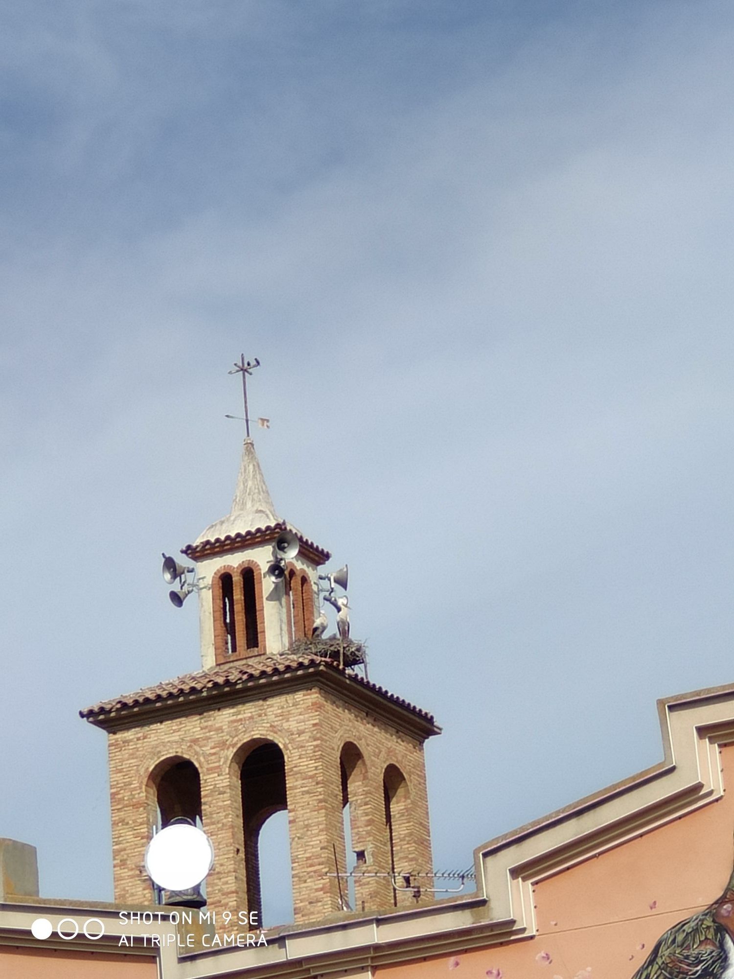 IMG_20200228_113721_compress76