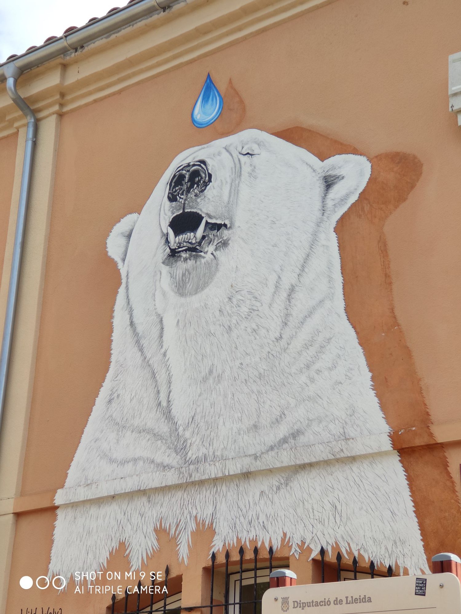 IMG_20200228_122253_compress43