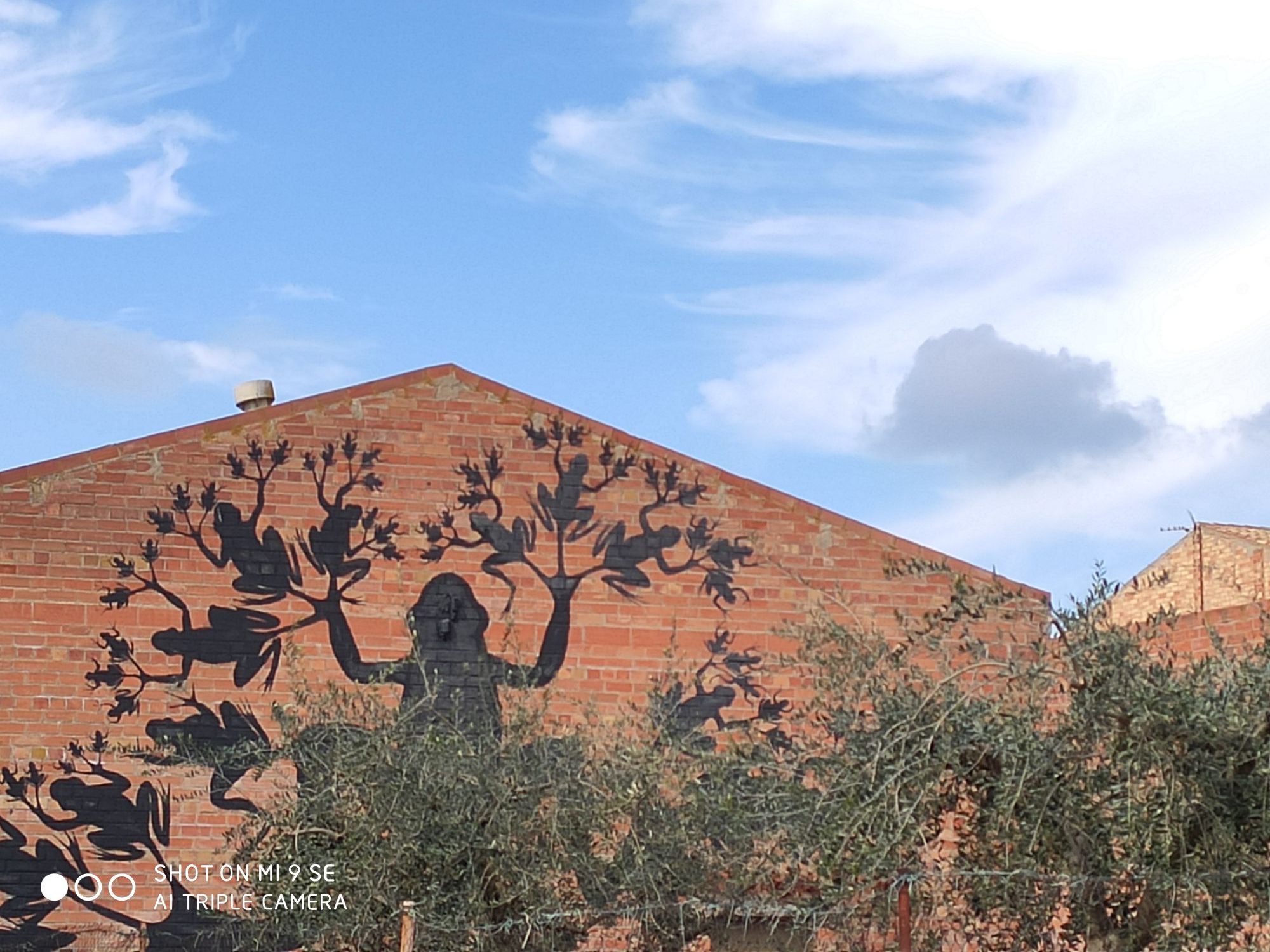 IMG_20200228_122852_compress81