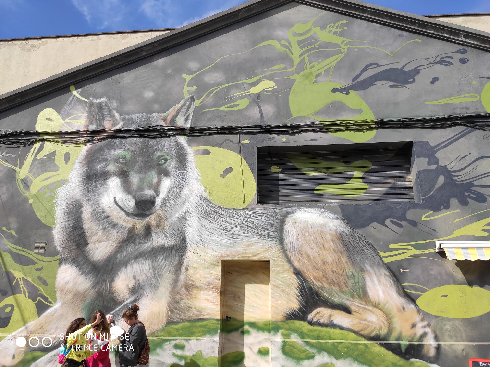 IMG_20200228_122950_compress54