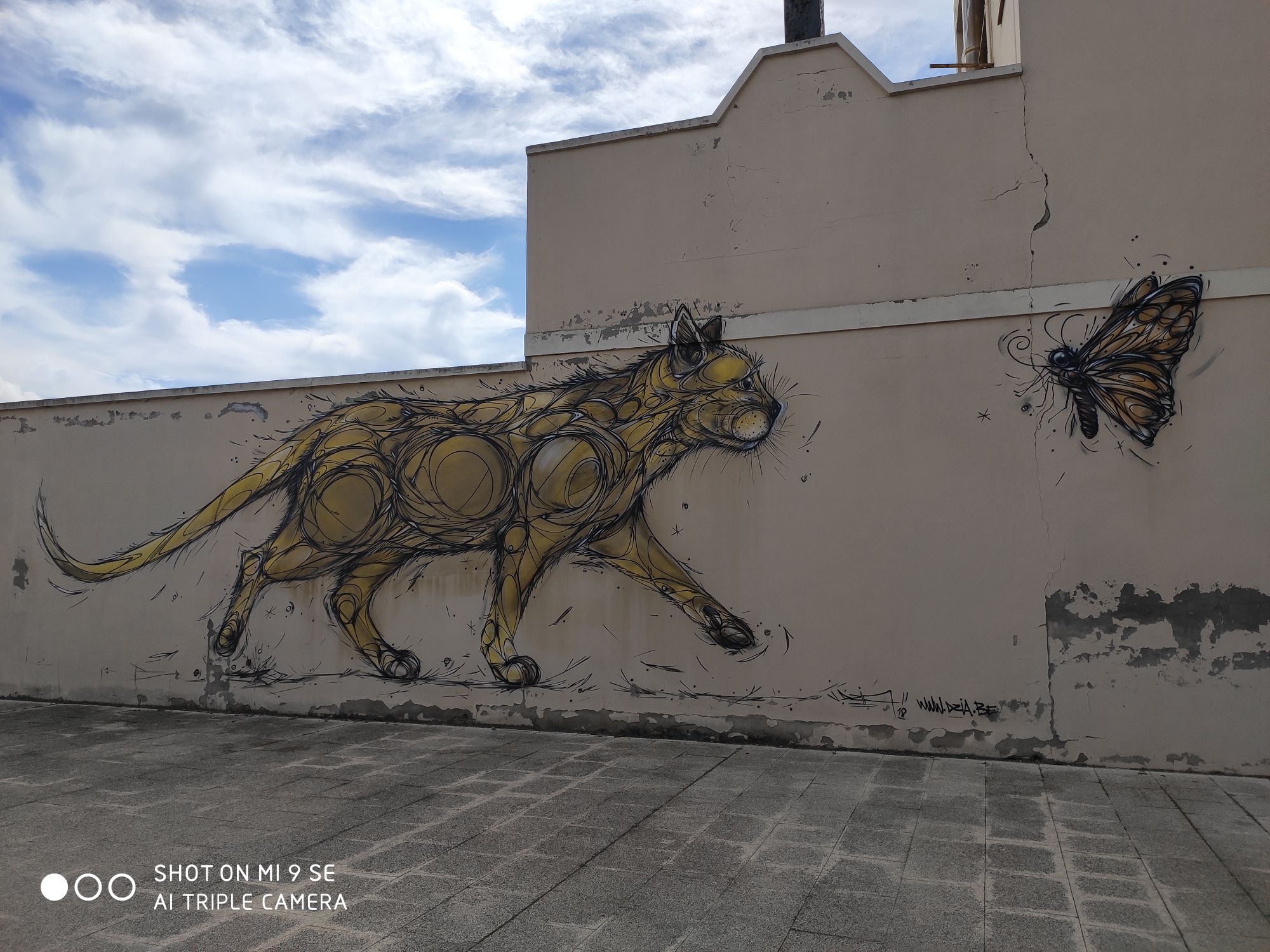 IMG_20200228_123051_compress8