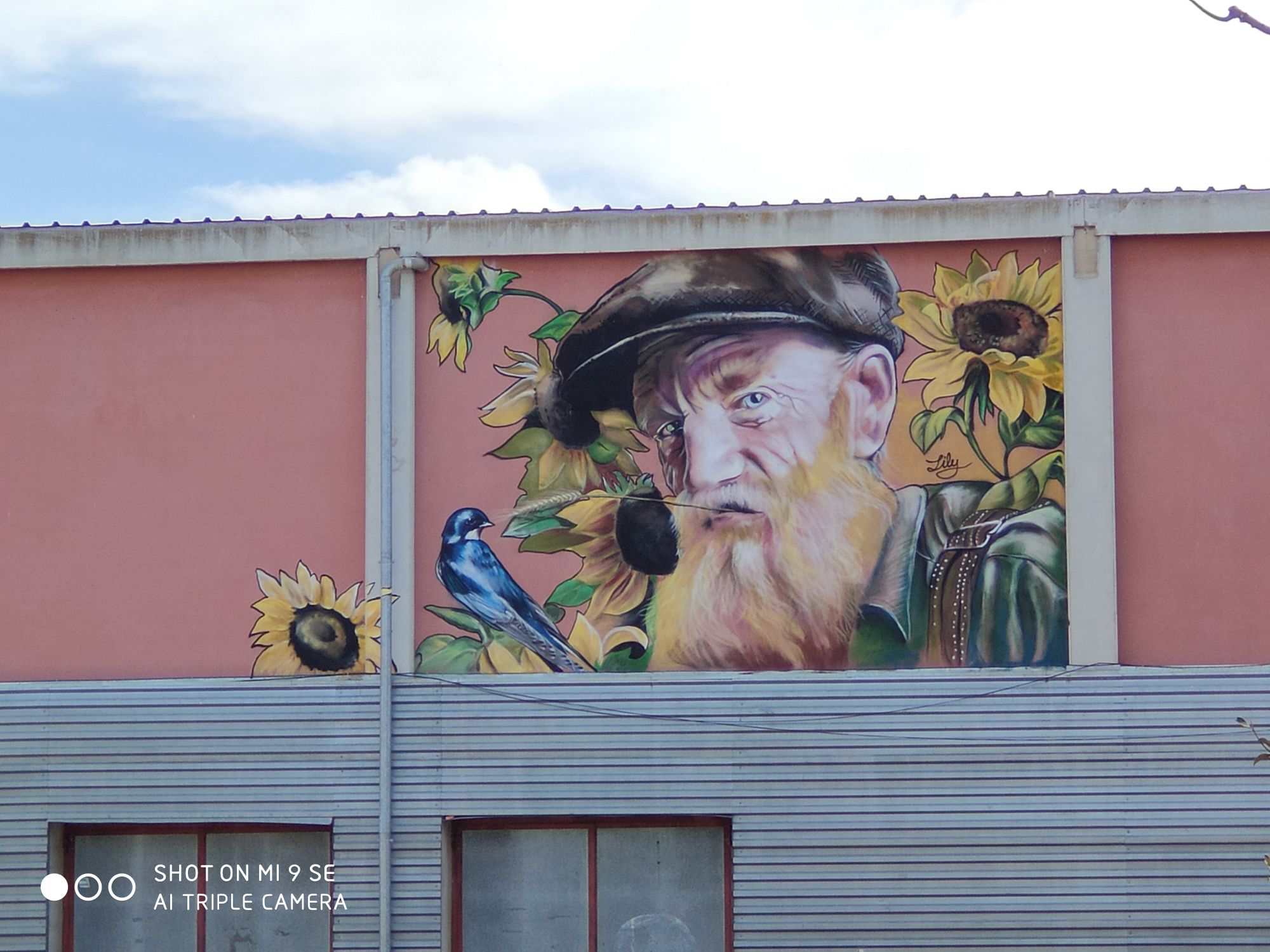 IMG_20200228_123239_compress45