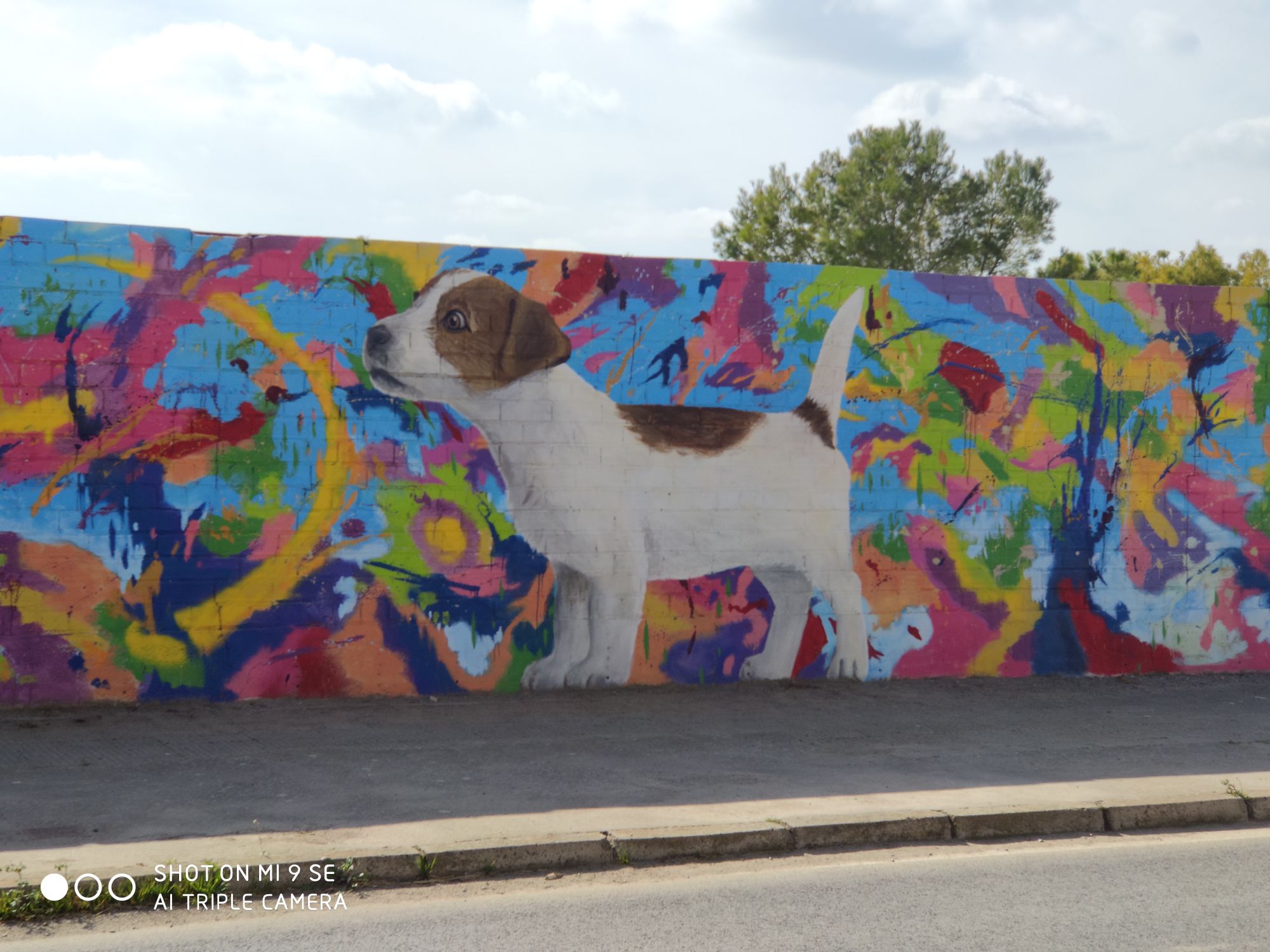 IMG_20200228_133938_compress82