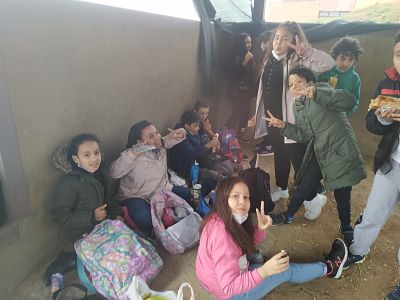 IMG_20201103_095945_opt