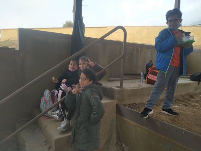 IMG_20201103_095957_opt