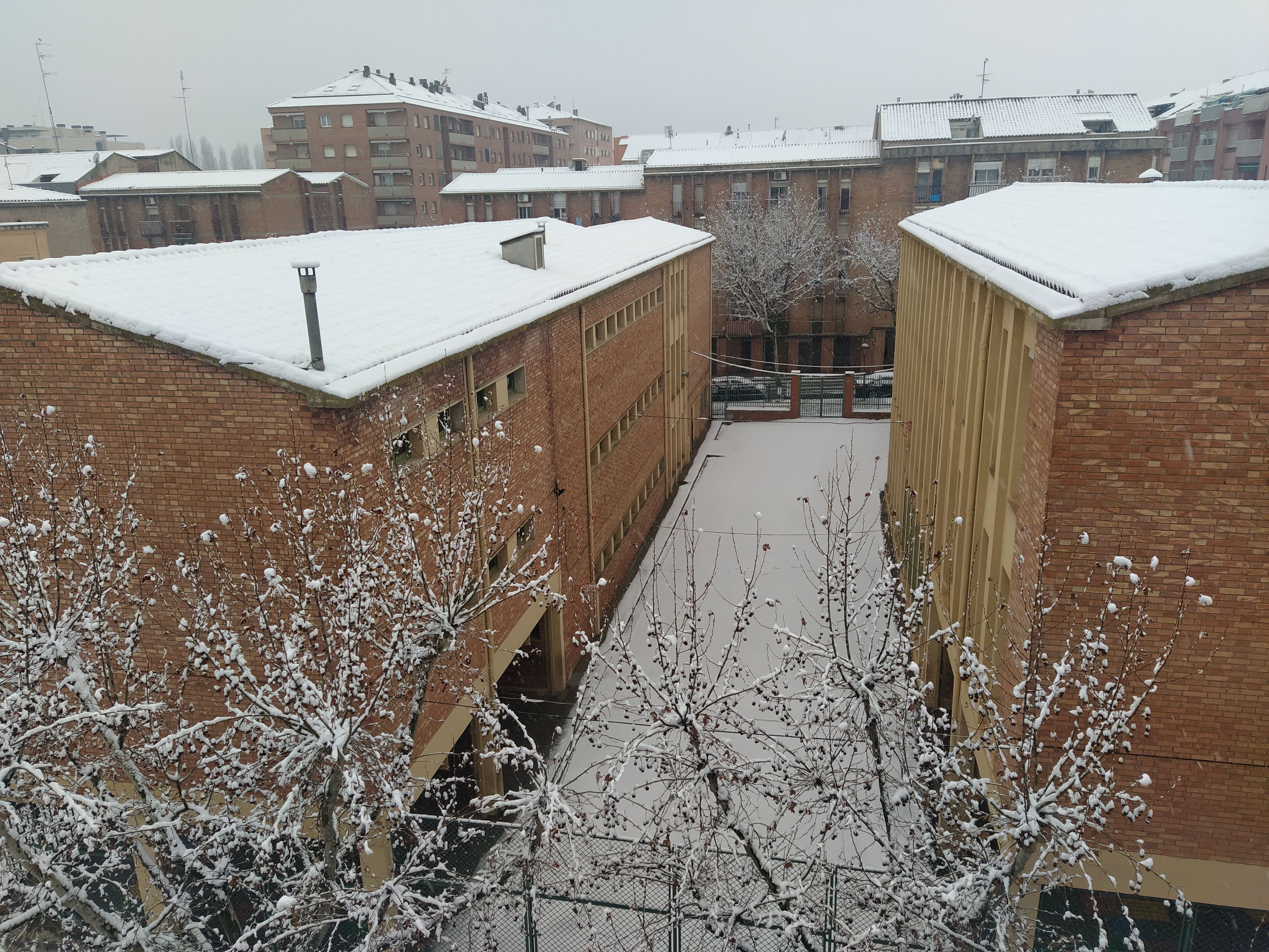 IMG_20210109_092331-min