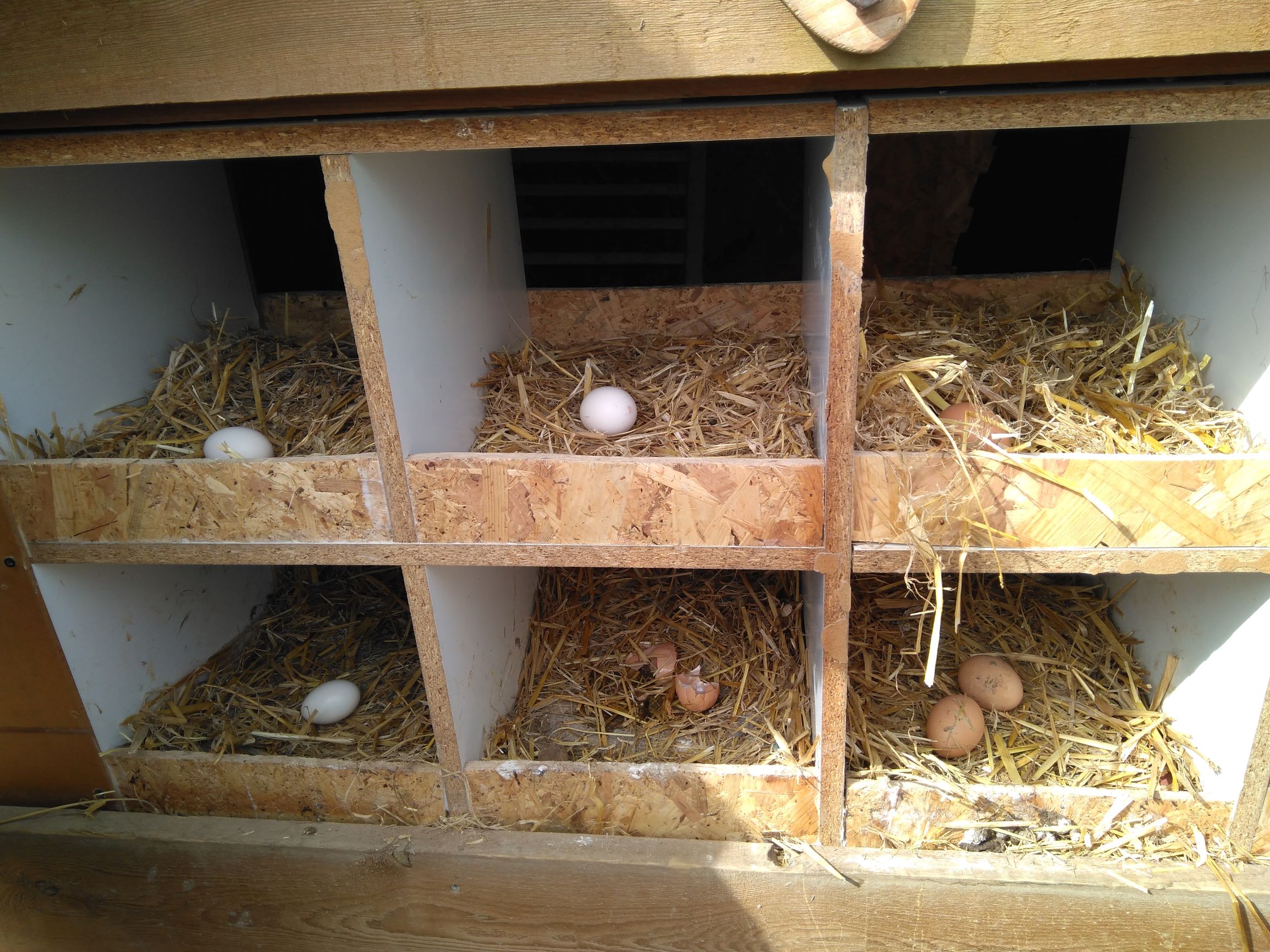 IMG_20210319_112044_245