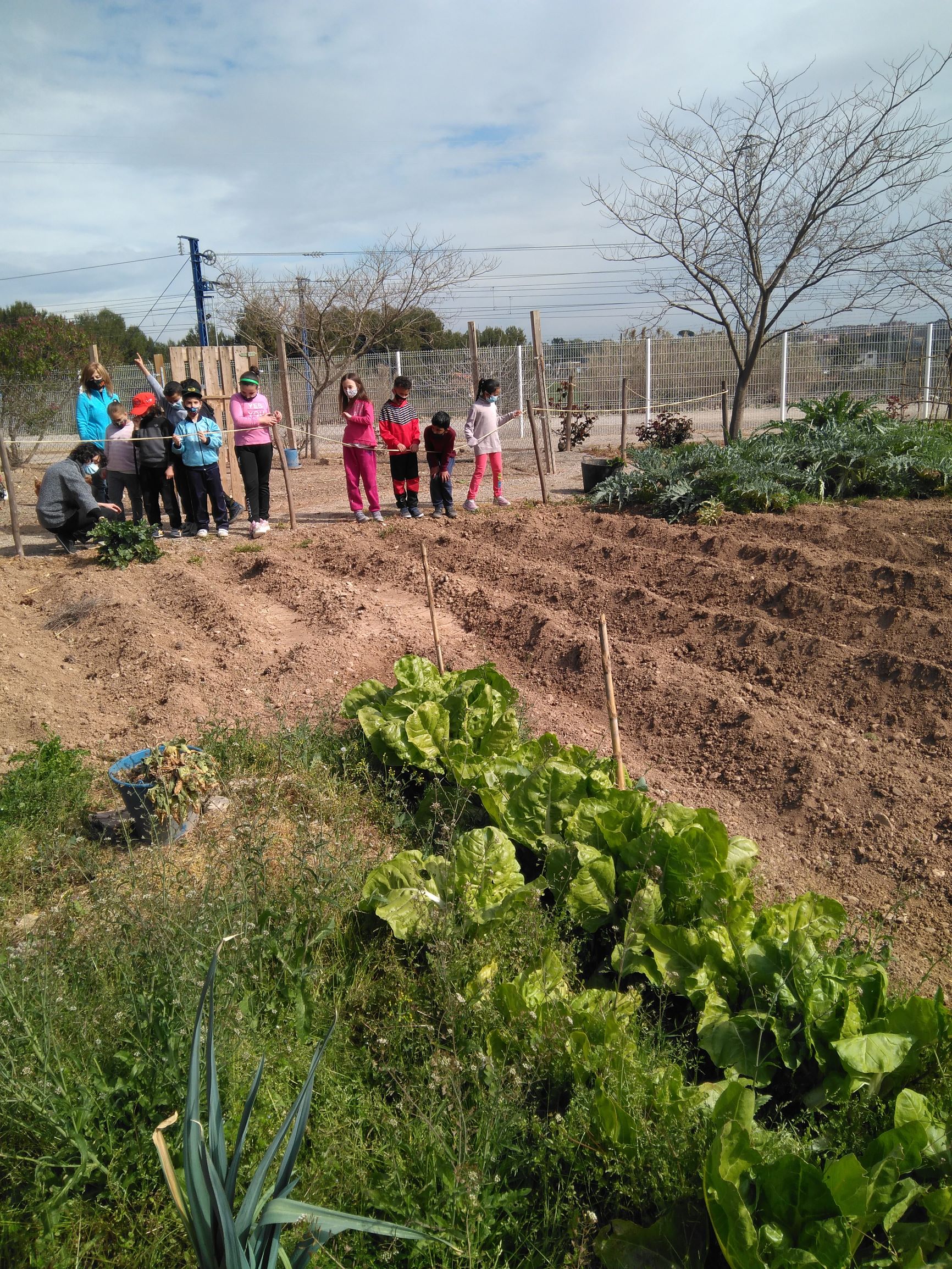 IMG_20210319_112403_266