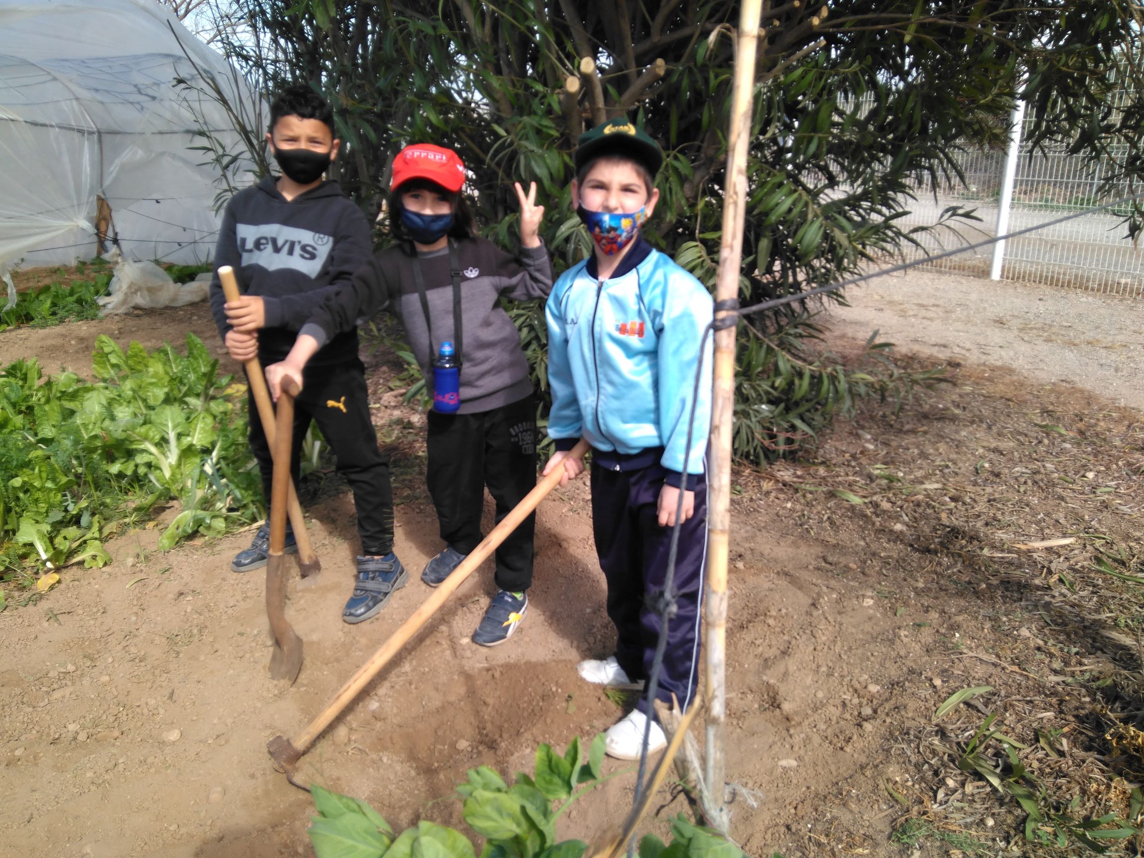 IMG_20210319_113027_626