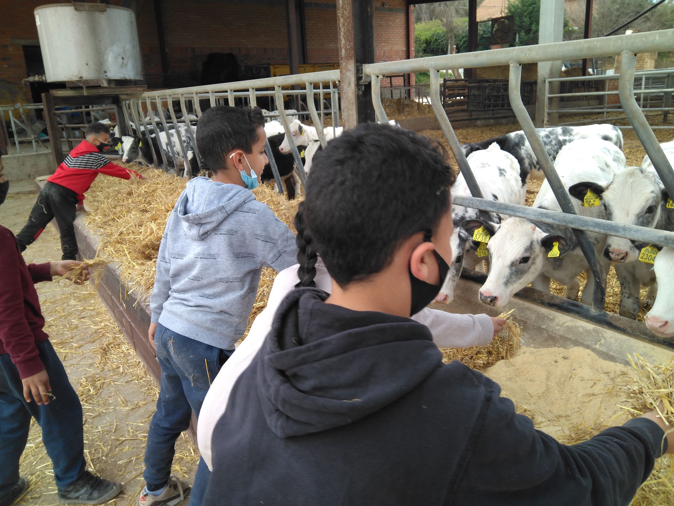 IMG_20210319_131327_455