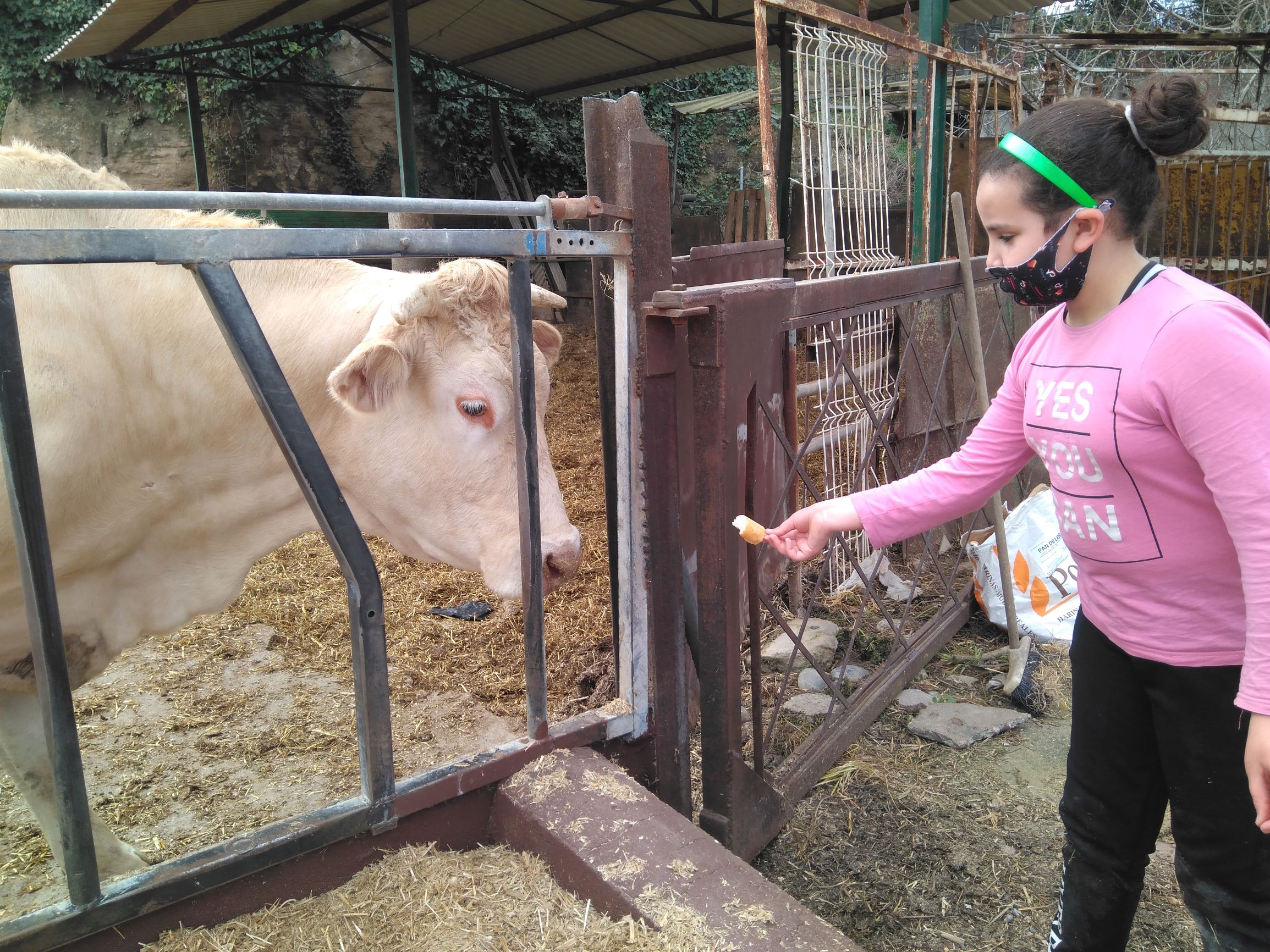 IMG_20210319_132122_902