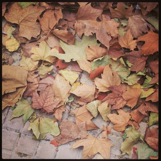 011184c48d1609dd713d60654fd98ccf