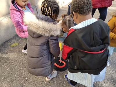 IMG20211104110442_opt