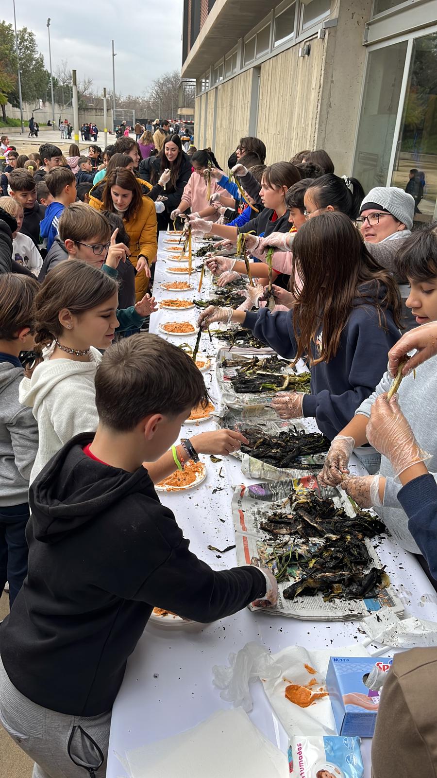 WhatsApp Image 2026-01-29 at 9.28.04 AM (10)