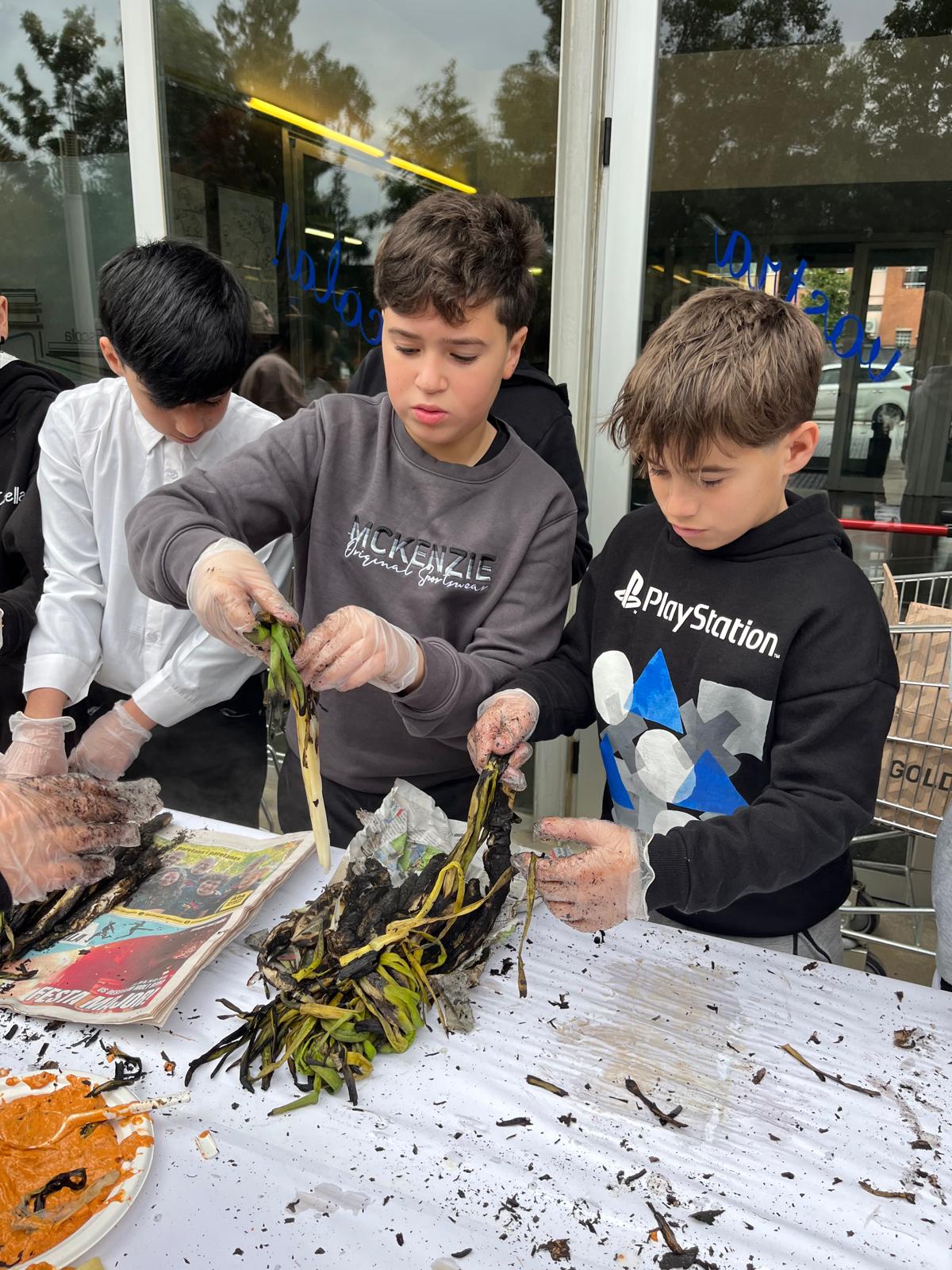 WhatsApp Image 2026-01-29 at 9.28.04 AM (11)