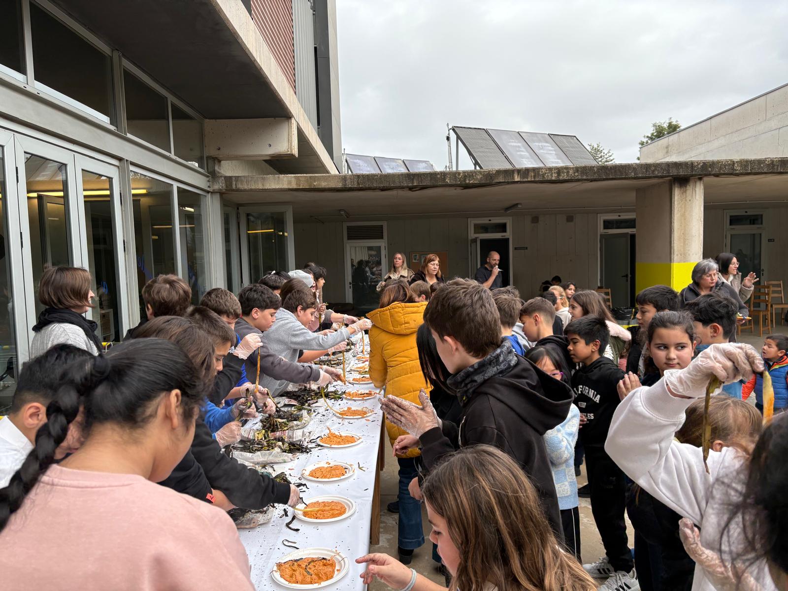 WhatsApp Image 2026-01-29 at 9.28.04 AM (9)