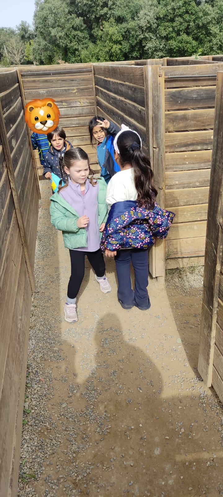 81314c07-7ecf-4e3b-a653-ec9dd9eb22dc