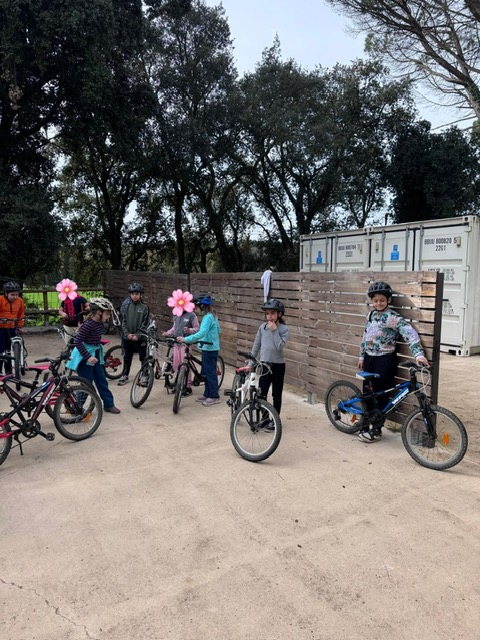 PHOTO-2026-03-11-17-06-00