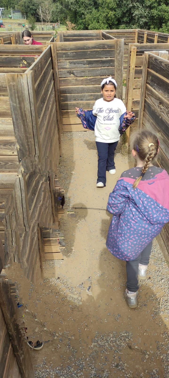 c551747d-8a9a-4714-a0f2-278d3b7d89f5