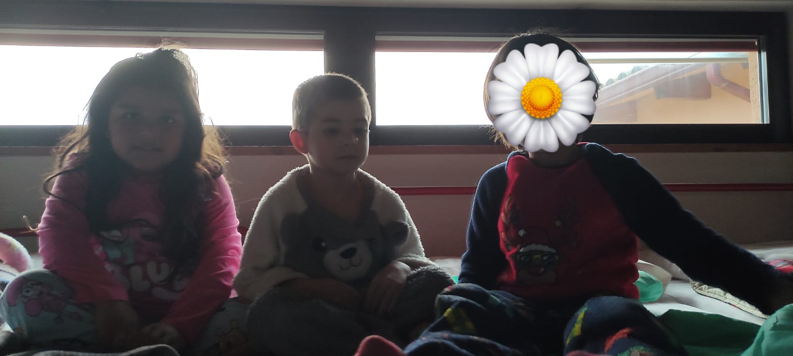 df15e336-f266-458a-916c-7a963b505d42