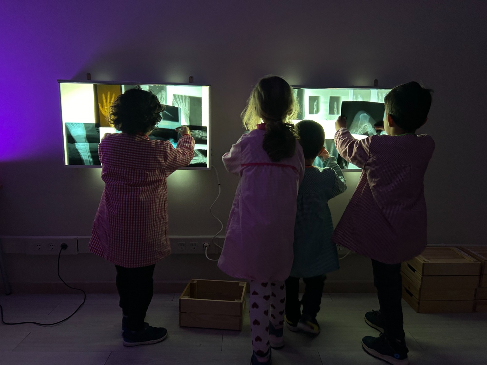 WhatsApp Image 2025-03-12 at 13.18.55 (8)