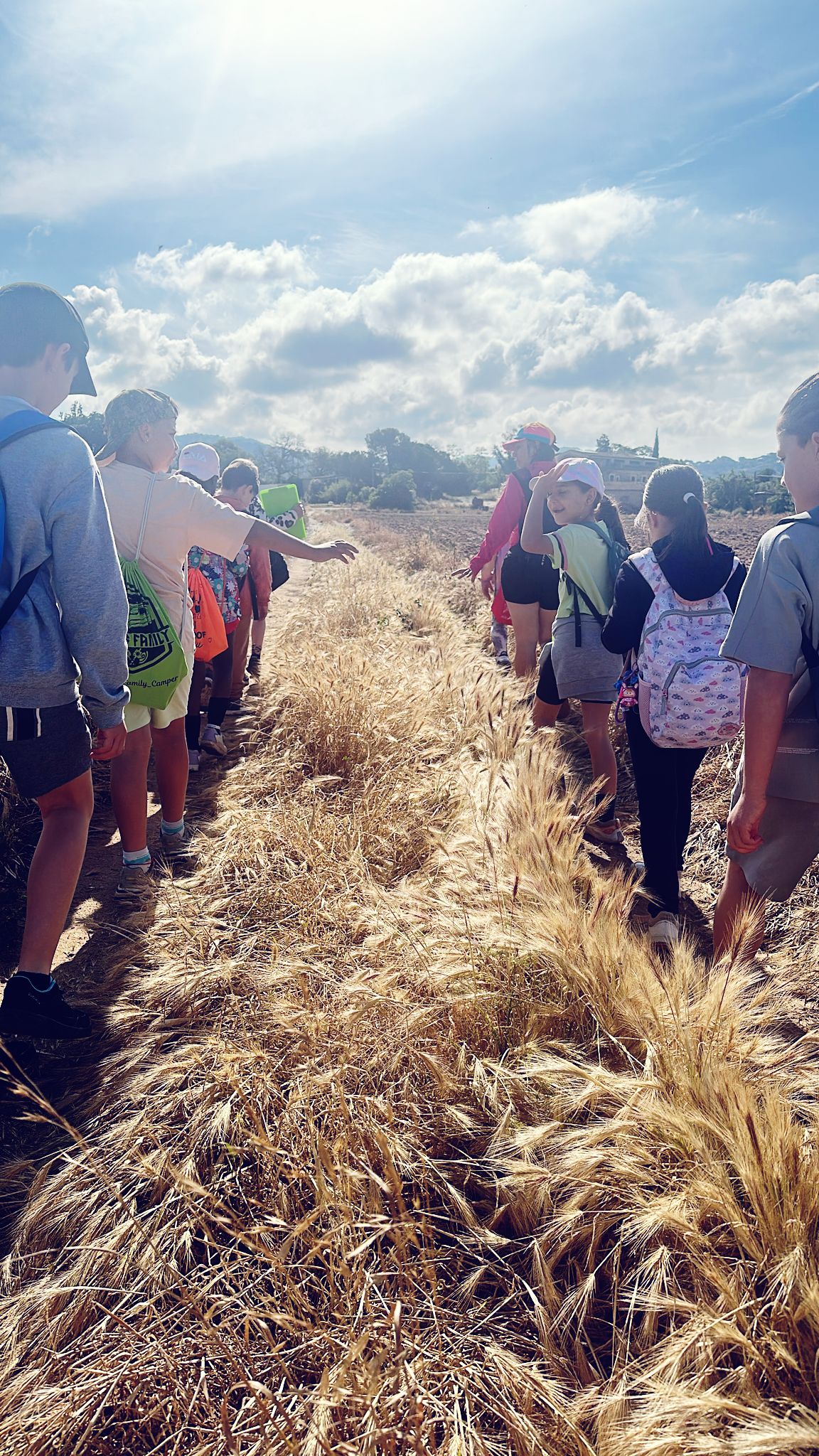 WhatsApp Image 2025-05-14 at 09.53.35