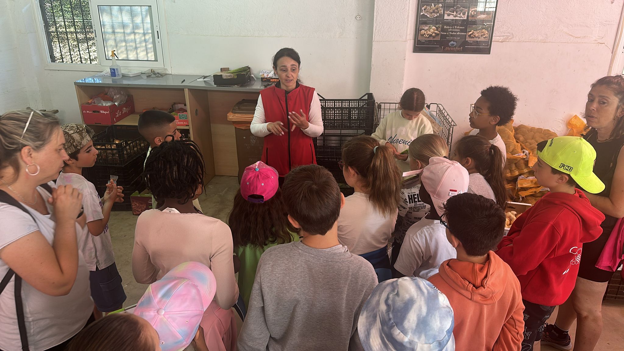 WhatsApp Image 2025-05-14 at 10.05.48