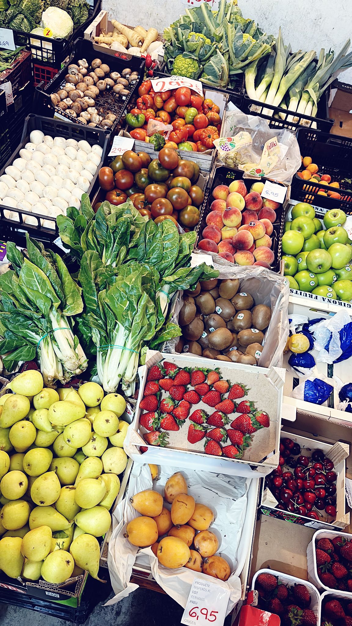 WhatsApp Image 2025-05-14 at 10.33.46