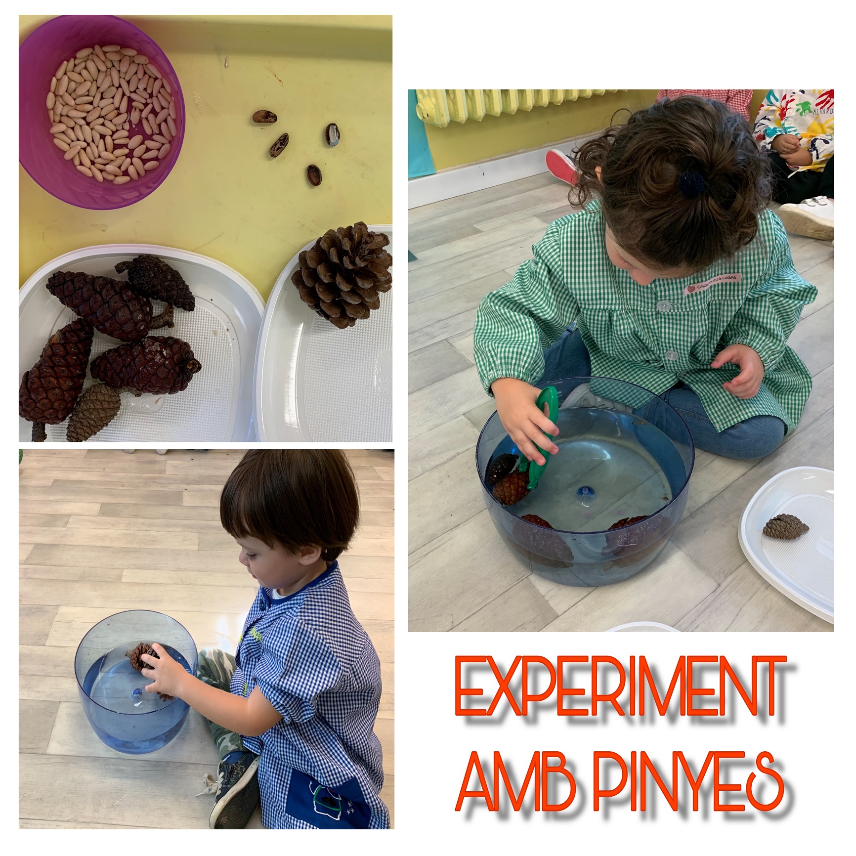 5F7AD55D-08B2-4577-A9F5-7C149ECE7B83