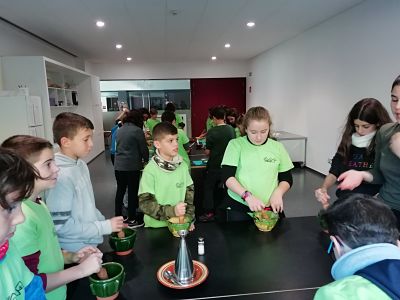 IMG_20191125_121119_opt