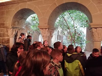 IMG_20191125_134651_opt