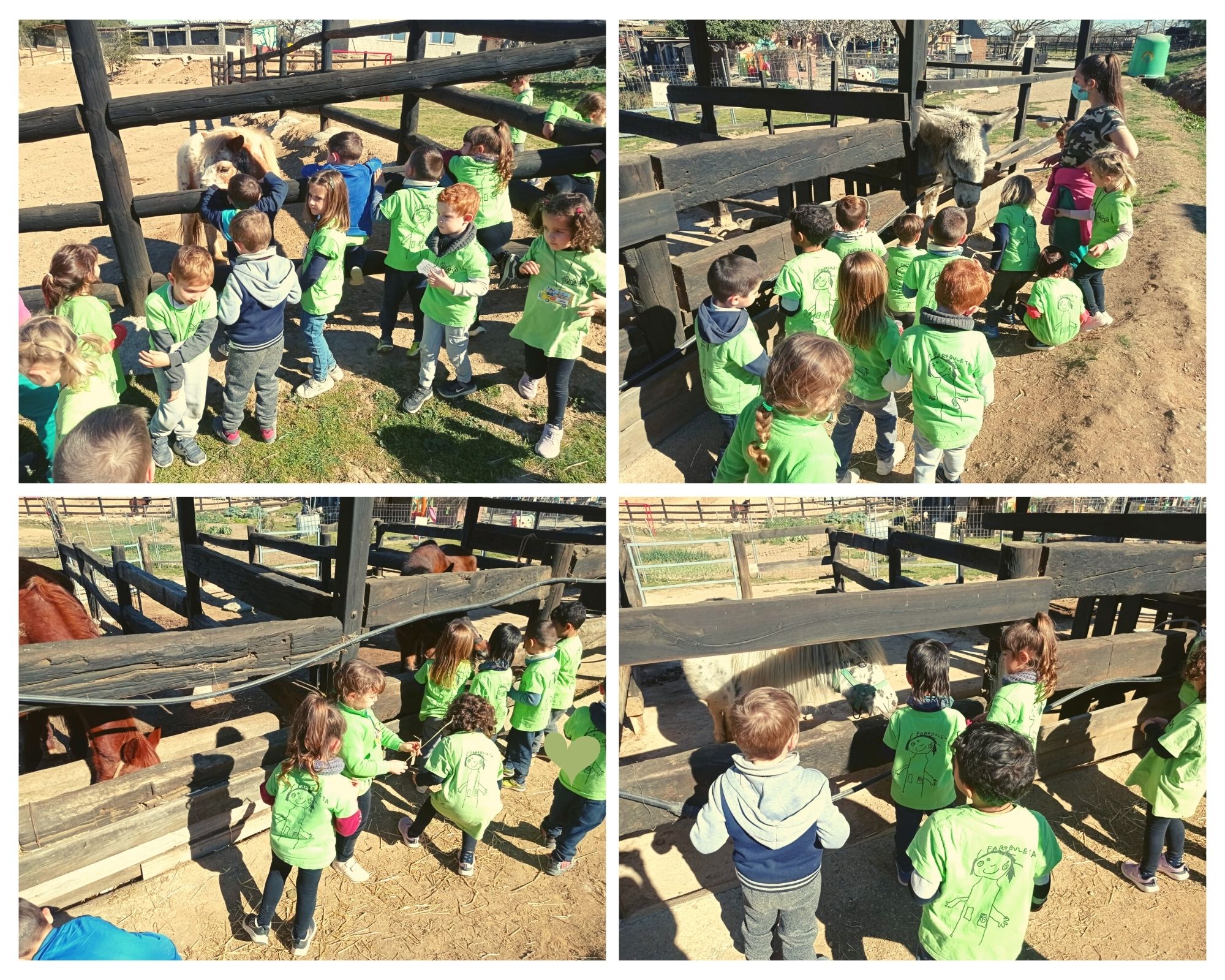 Visitem als cavalls i ponis