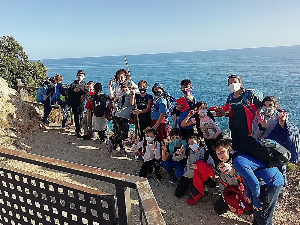 IMG_20201117_152104_opt