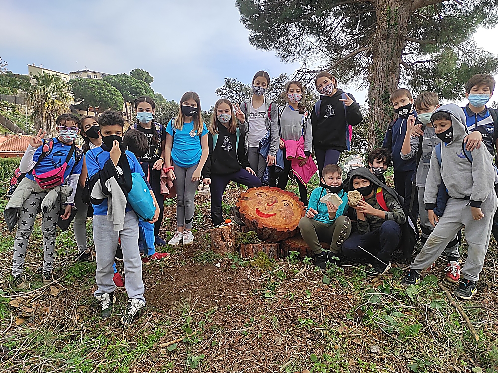 IMG_20201130_125038_opt