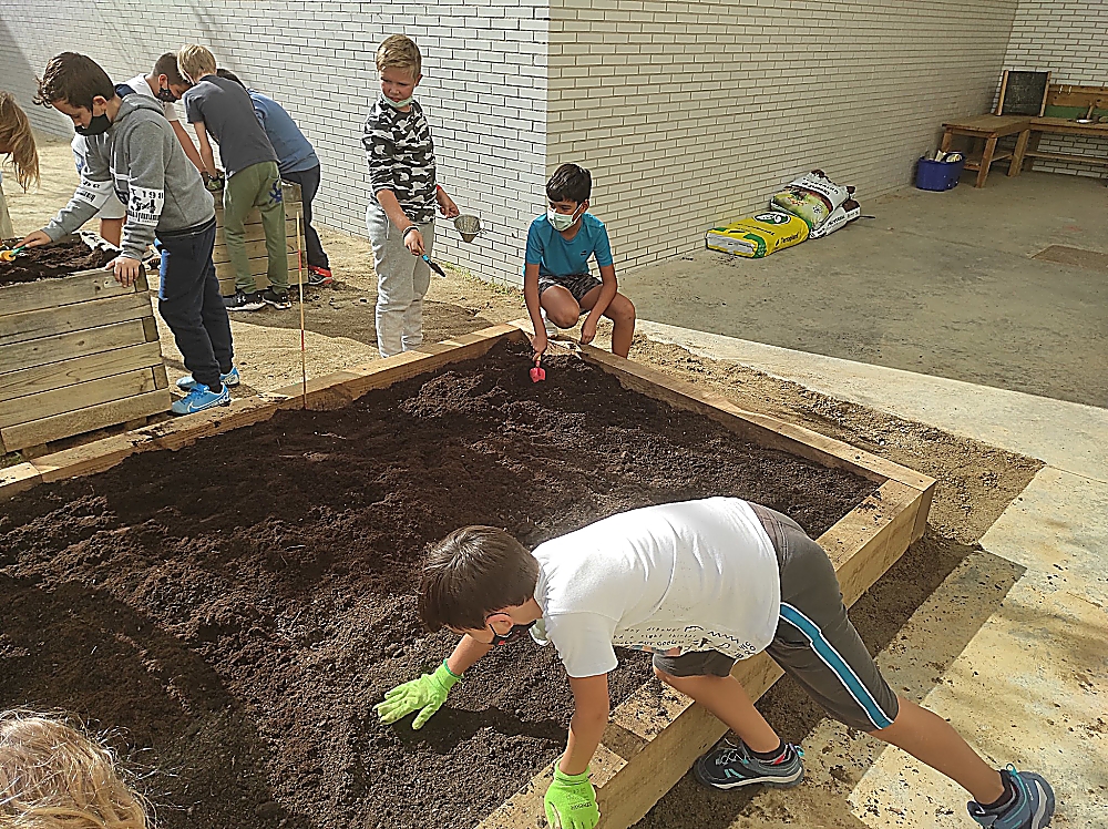 IMG_20211006_153413_opt