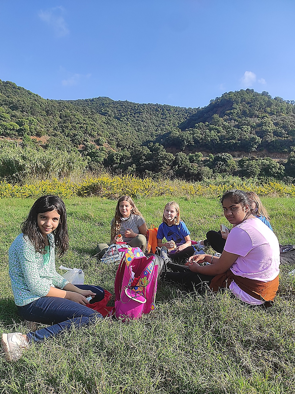 IMG_20211013_105638_opt