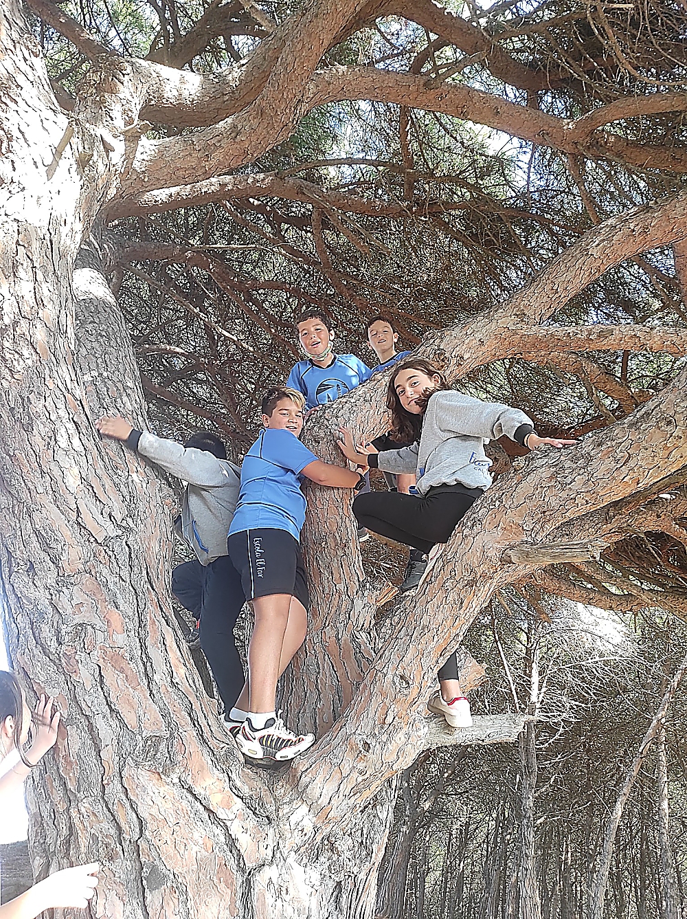 IMG_20211013_144244_opt