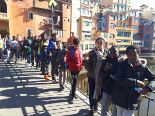 20190206_124540 (320x200)