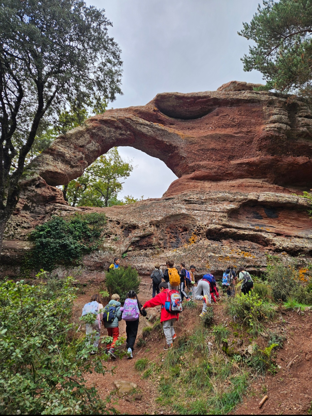 Screenshot_20241023_111345_Gallery