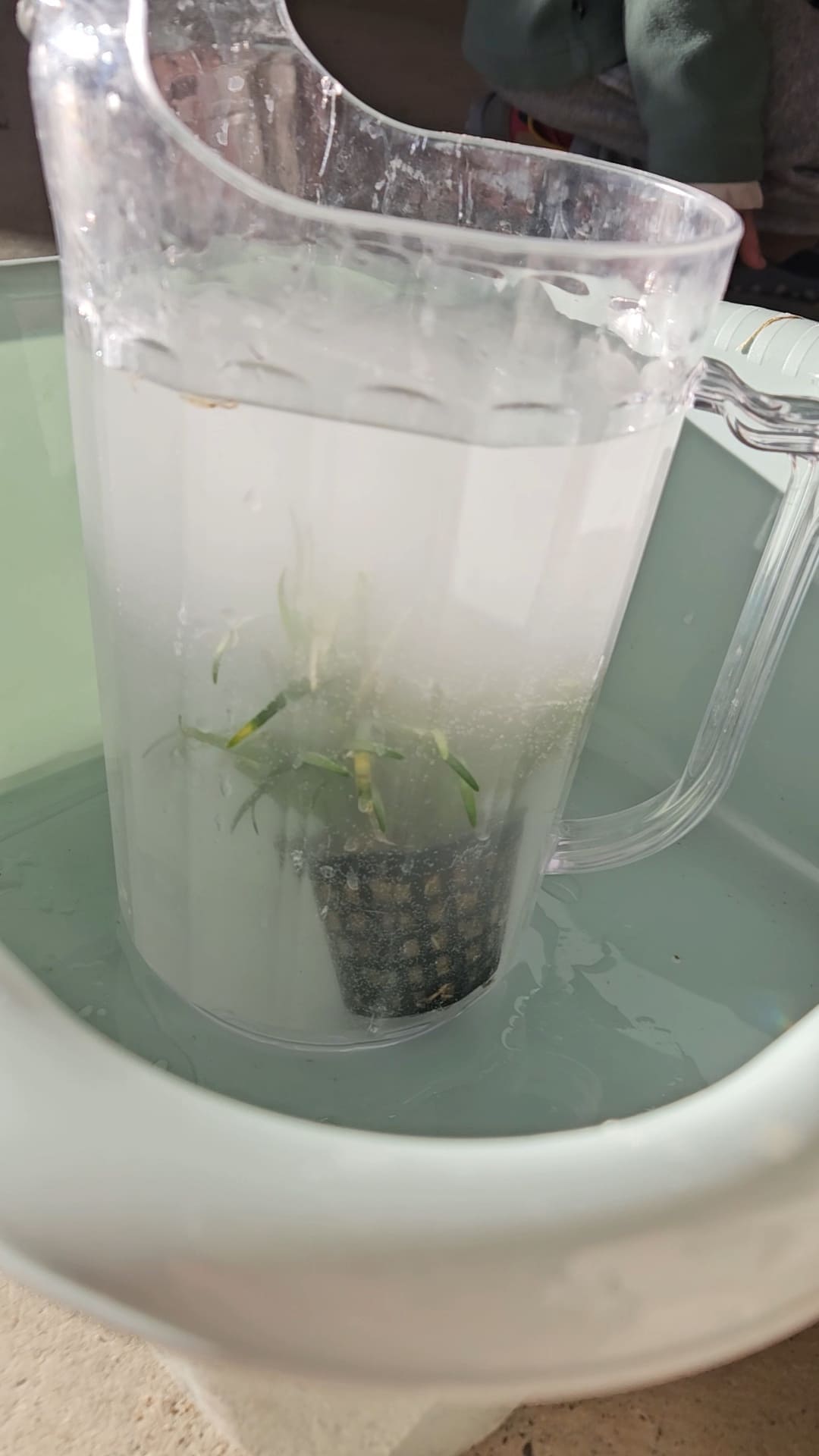 VideoCapture_20250206-130418