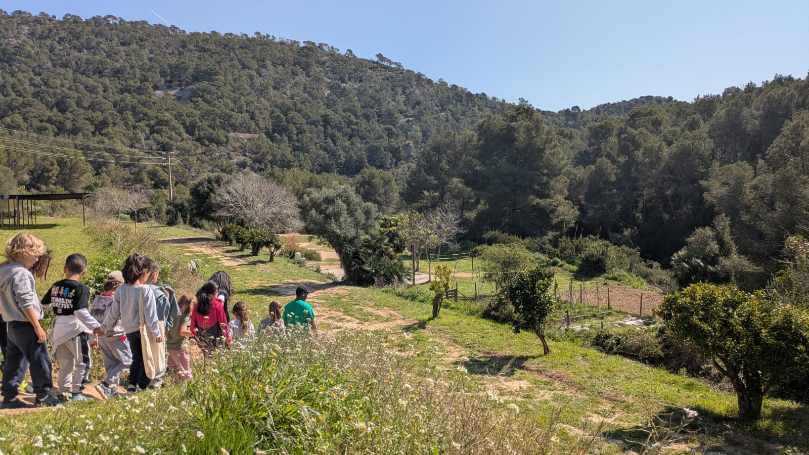 WhatsApp Image 2026-03-25 at 17.33.47 (1)