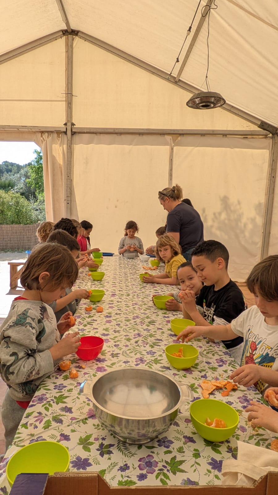 WhatsApp Image 2026-03-25 at 17.33.47 (2)