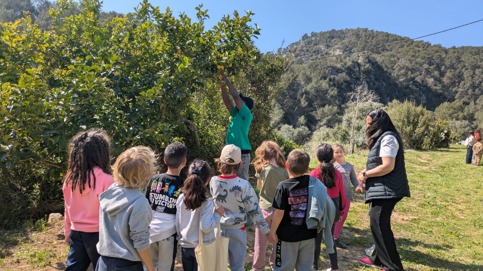 WhatsApp Image 2026-03-25 at 17.33.47 (3)