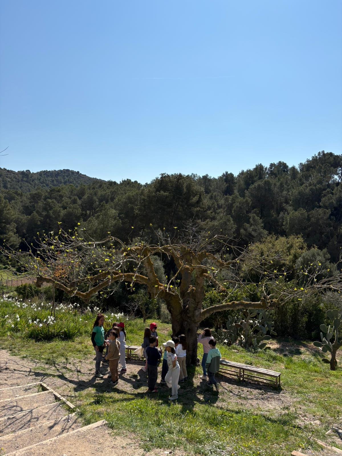 WhatsApp Image 2026-03-26 at 11.45.51 (1)