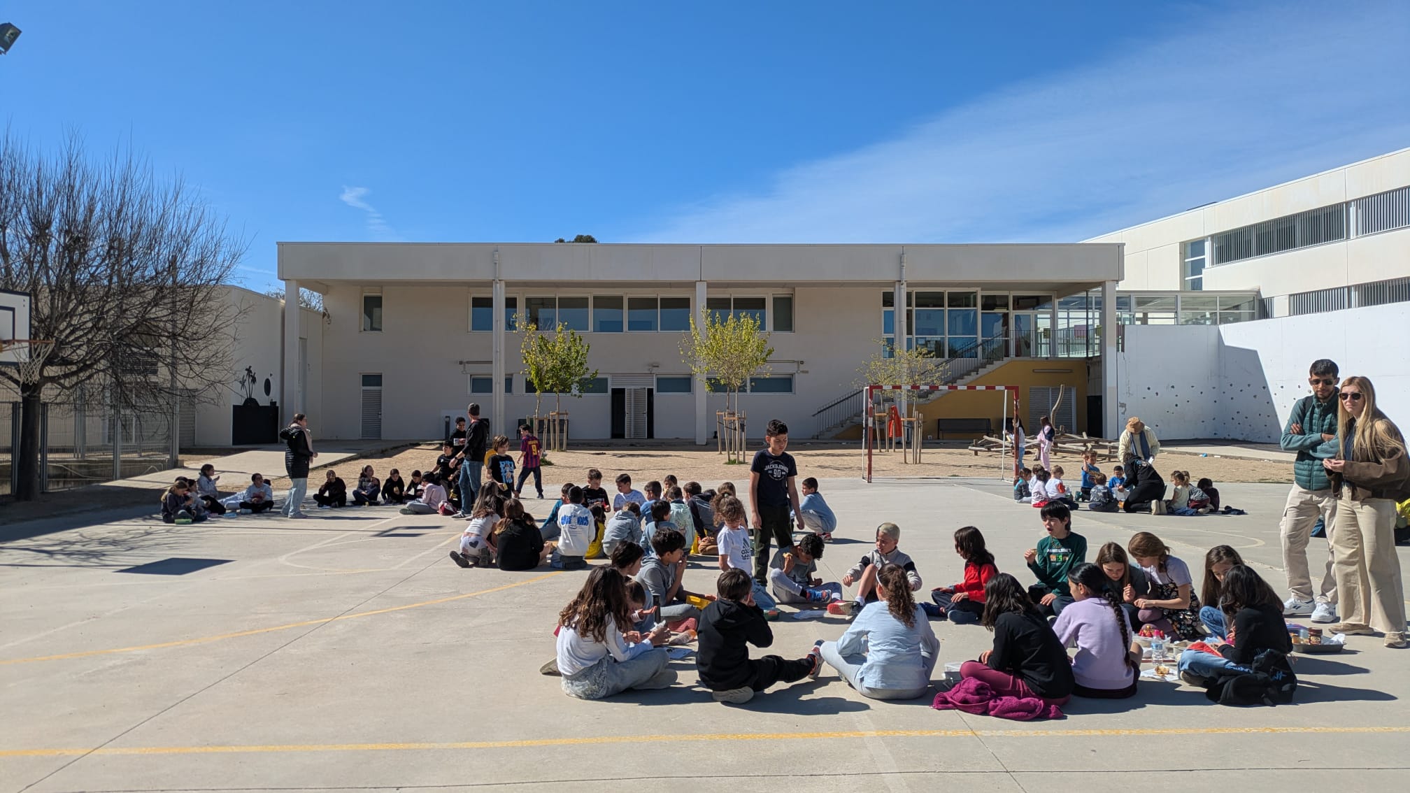 WhatsApp Image 2026-03-27 at 12.16.56 (1)