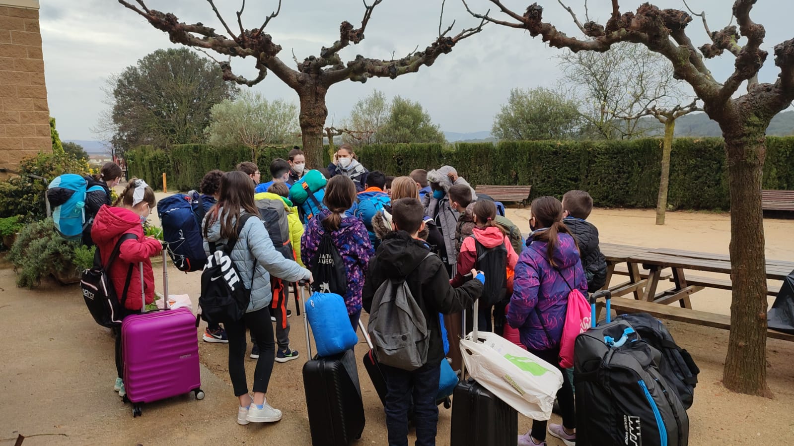 36d0ff20-1b06-4509-b824-c2d44bf5e5cb