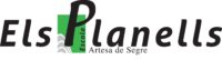 ESCOLA ELS PLANELLS